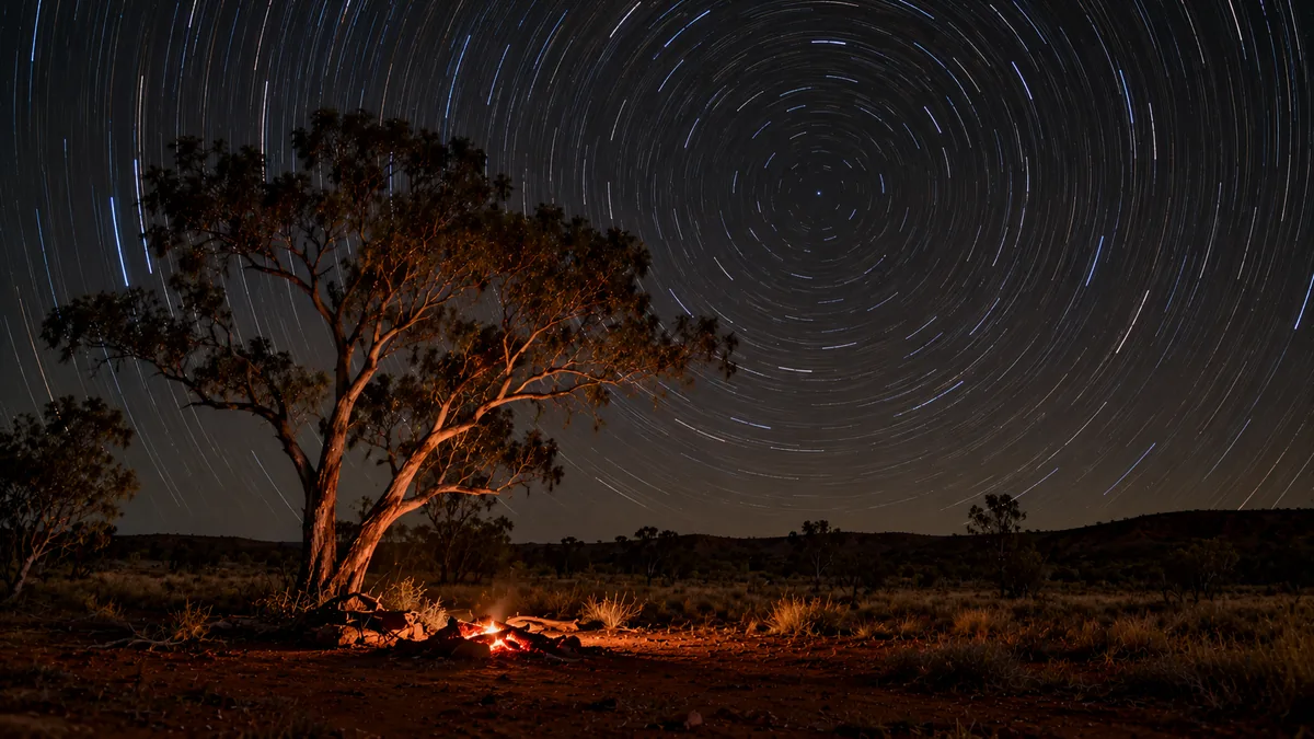 Circular star trails swirling around the south celestial pole above a lone outback tree